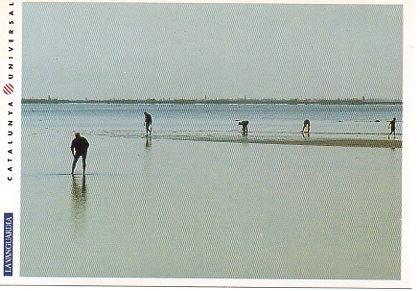 POSTAL PV00103: Mariscadores, Delta de l'Ebre