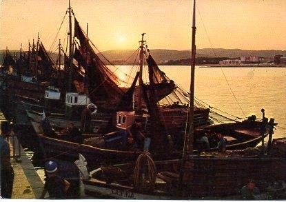 POSTAL PV00147: Barcos pesqueros en Palamos