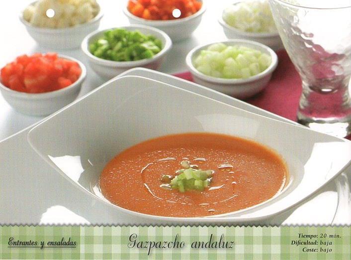 LAMINA V09809: Gazpacho andaluz