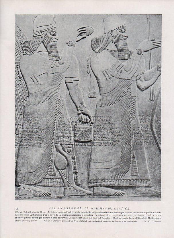 LAMINA V09877: Asurnasirpal II, relieve en alabastro