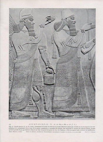 LAMINA V09877: Asurnasirpal II, relieve en alabastro