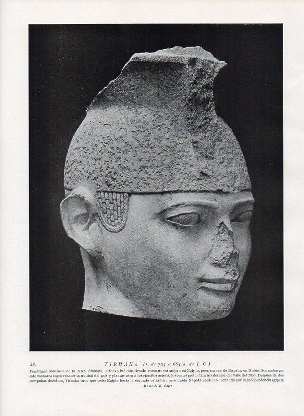 LAMINA V09879: Cabeza de Tirhaka