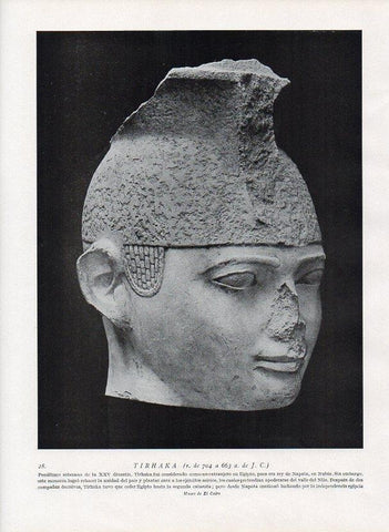 LAMINA V09879: Cabeza de Tirhaka