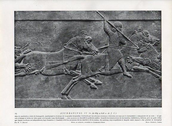 LAMINA V09880: Asurbanipal, relieve en alabastro