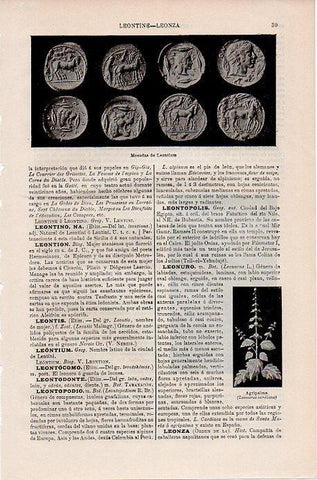 LAMINA V09708: Monedas de Leontium