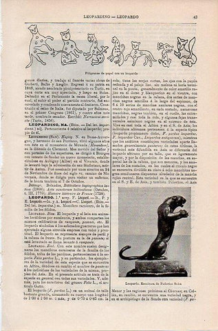 LAMINA V09710: Leopardo, por Federeico Behn