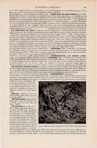 LAMINA V09724: Tapiz de Beauvais