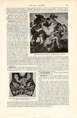 LAMINA V09761: Rapto de la hija de Leucipo