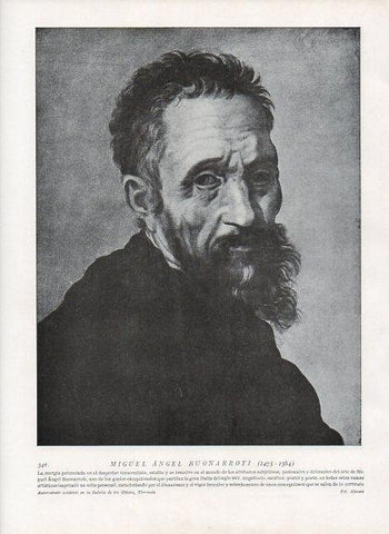 LAMINA V10013: Autorretrato de Miguel Angel