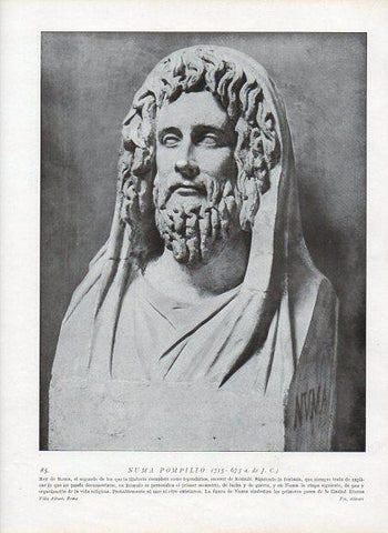 LAMINA V09901: Busto de Numa Pompilio