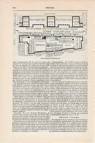 LAMINA V09676: Plano del nuevo Hospital de Westminster