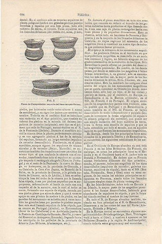 LAMINA V09393: Vasos de Ciempozuelos