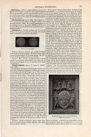 LAMINA V09364: Escudo de armas de la casa Piccolomini
