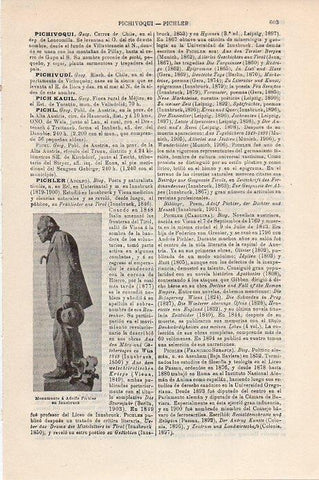 LAMINA V09377: Monumento a Adolfo Pichler en Innsbruck