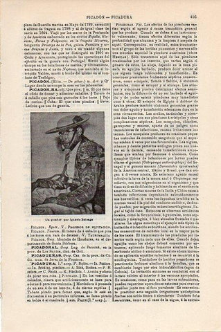LAMINA V09360: Un picador, por Zuloaga
