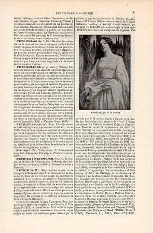 LAMINA V09288: Persefone, por G. M. Petrie