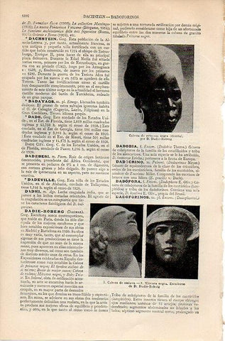 LAMINA V09259: Cabeza de esclava y mascara negra, por Dadie-Roberg