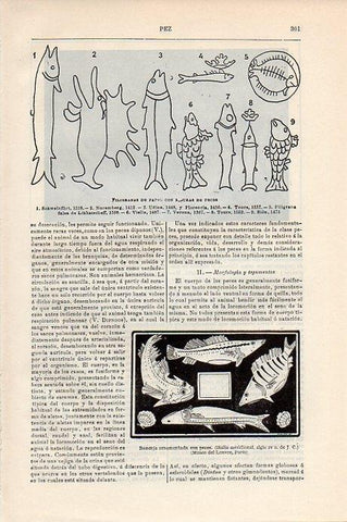 LAMINA V09324: Filigranas de papel con figuras de peces