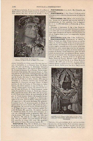 LAMINA V09495: Autorretrato de Pinturicchio