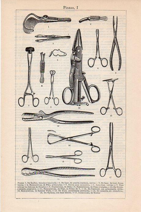 LAMINA V09498: Pinzas I