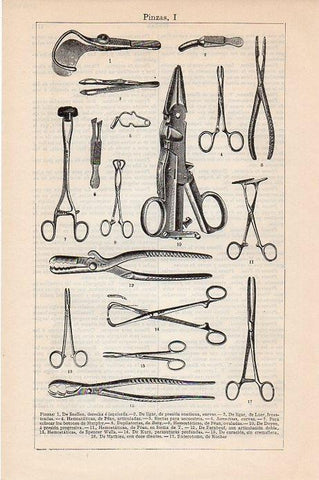 LAMINA V09498: Pinzas I