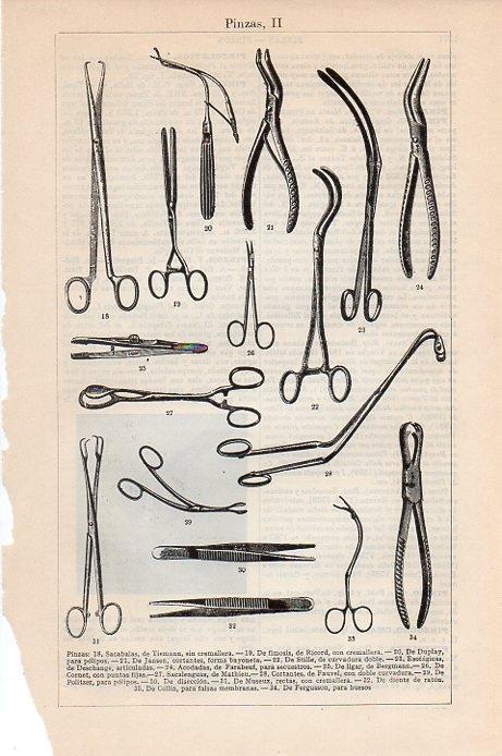 LAMINA V09499: Pinzas II