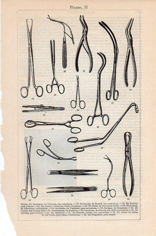 LAMINA V09499: Pinzas II