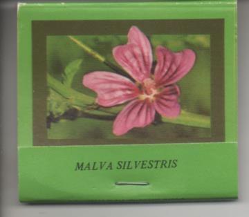 Cajetin de Cerillas verde : Malva Silvestris