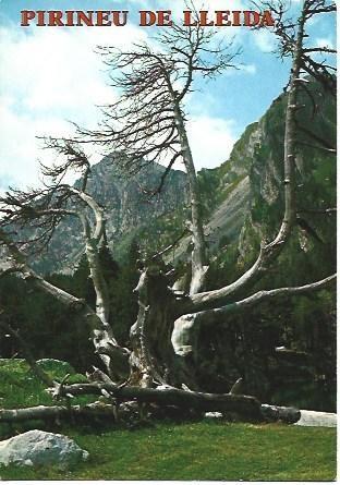 POSTAL L01249: Sant Maurici en el Pirineo de Lleida