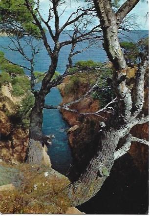 POSTAL L01244: Detalle de la Costa Brava, Girona