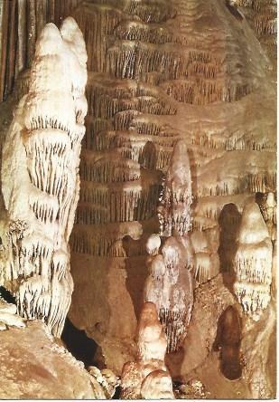 POSTAL L01149: El Corderito en las Cuevas de Nerja, Malaga