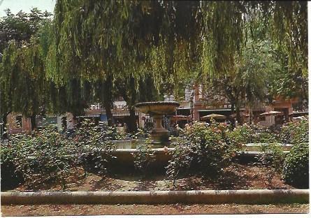 POSTAL L01158: Pineda
