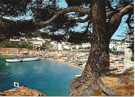 POSTAL L01324: Playa de Tamariu, Girona