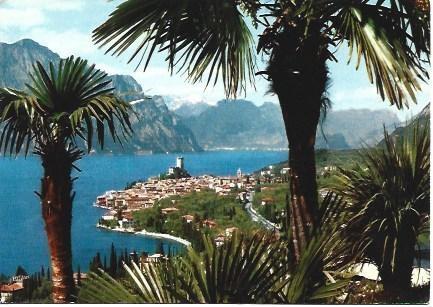 POSTAL L01466: Malcesine, Lago di Garda. Italia