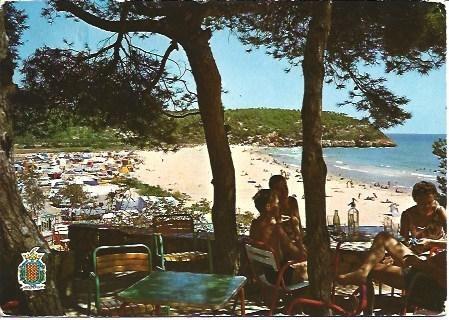 POSTAL L01525: Camping Torre de la Mora en Tarragona