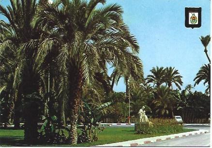 POSTAL L01496: Elche. Paseo Alfonso XII