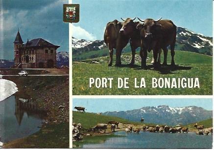 POSTAL L01330: Vistas del Port de la Bonagua, Lleida