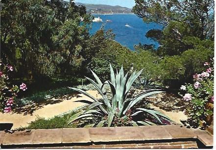 POSTAL L01389: Planta del Jardin Botanico de Blanes