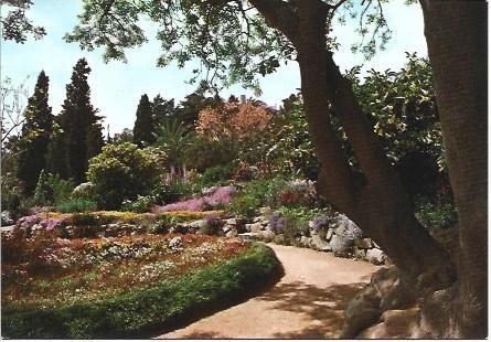 POSTAL L01390: Explanada Mendel del Jardin Botanico de Blanes