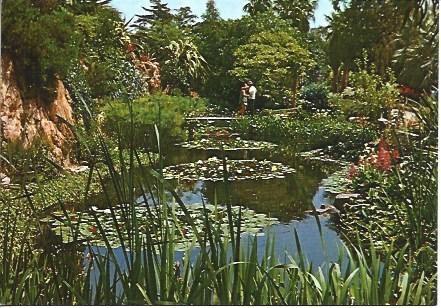 POSTAL L01392: Detalle del Jardin Botanico de Blanes