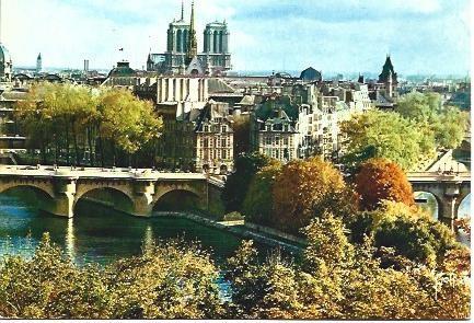 POSTAL L00849: Vista panoramica de Notre Dame de Paris