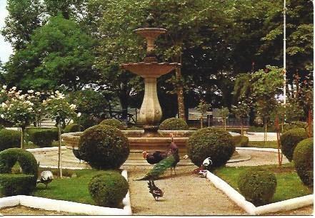 POSTAL L00895: Parque Rosalia de Castro en Lugo