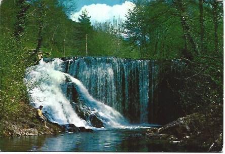 POSTAL L00875: Cascada de  La Noguera