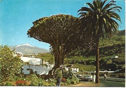 POSTAL L00909: Drago milenario y el Teide