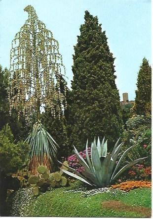 POSTAL L01093: Jardin Botanico Mar i Murtra en Blanes, Girona