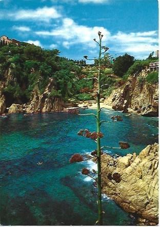 POSTAL L01094: Cala Forcanera en la Costa Brava