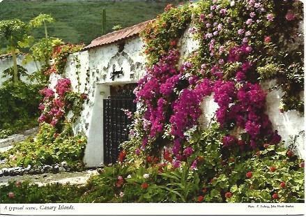 POSTAL L00924: Casa de campo en las Islas Canarias