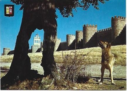 POSTAL L01013: Avila. Murallas