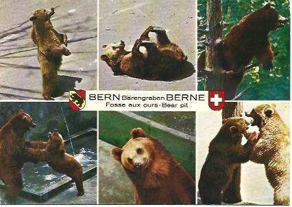 POSTAL L00983: Osos, Berna