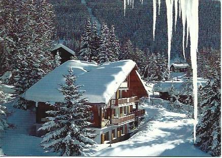 POSTAL L00975: Paisaje deinvierno en Suiza